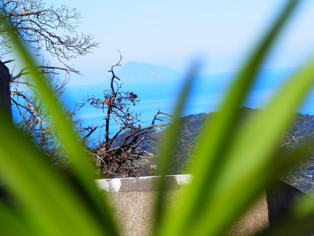 Al Fakhar Bed & Breakfast Ficarra Exterior foto