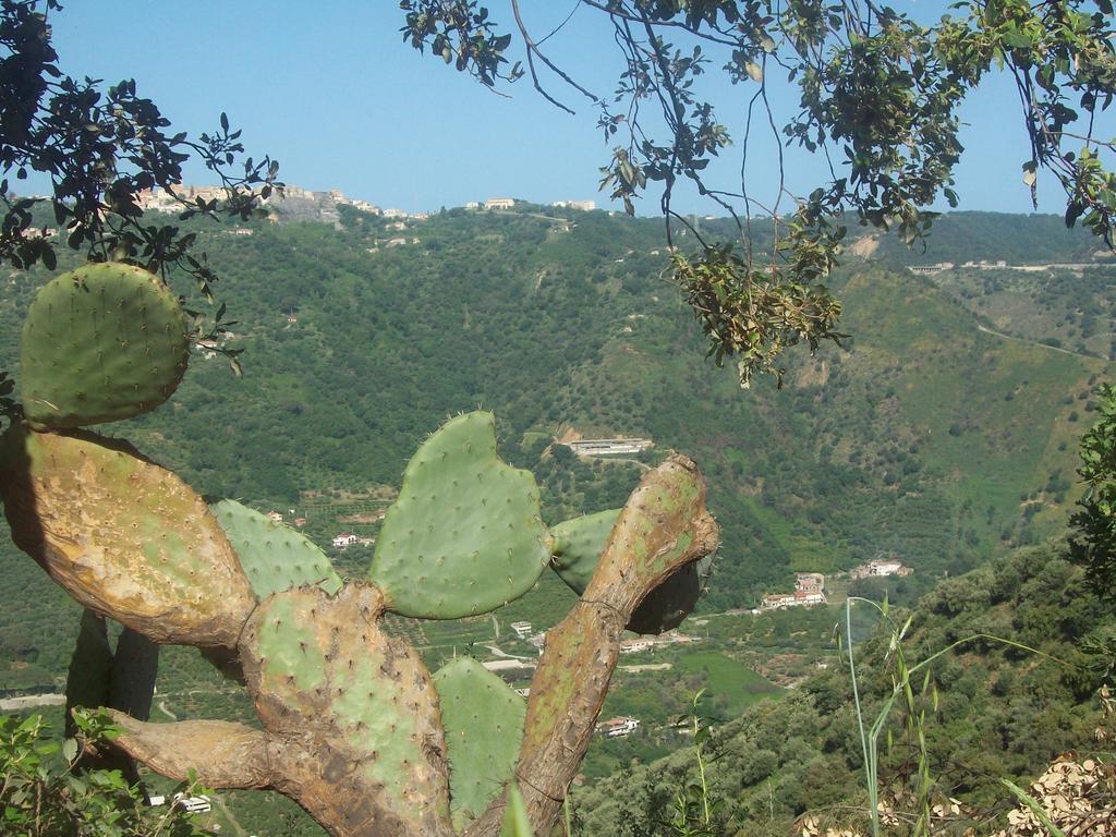 Al Fakhar Bed & Breakfast Ficarra Exterior foto